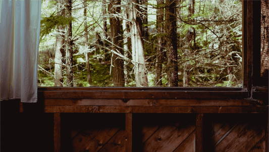 How to Camp in your Living Room