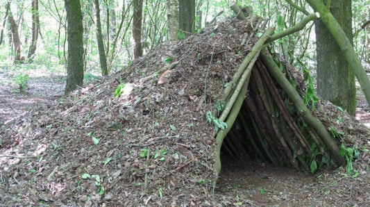 Emergency Shelter Building